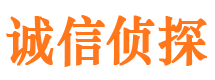 河东诚信私家侦探公司